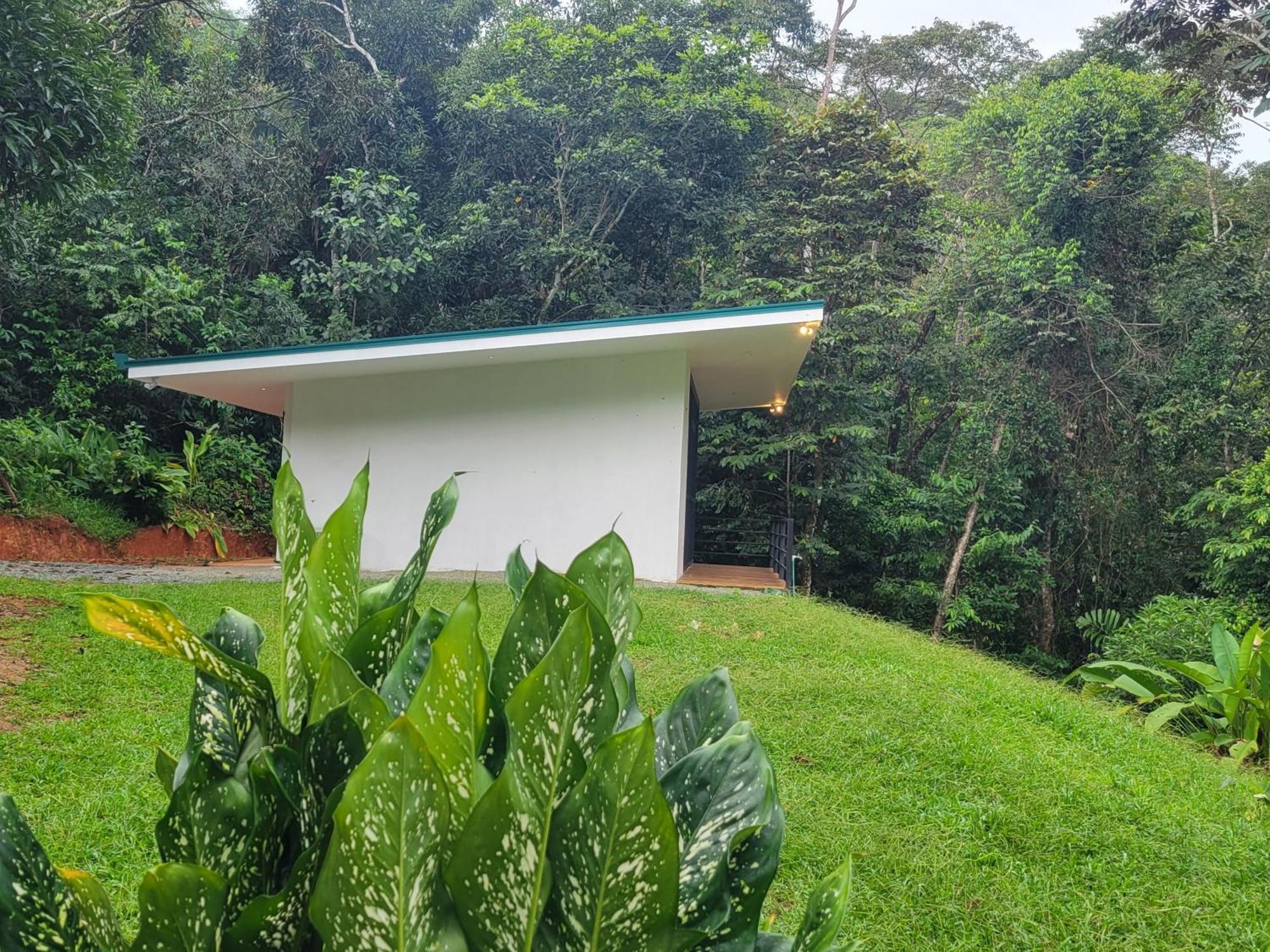 Cascada Elysiana Villa Platanillo Bagian luar foto