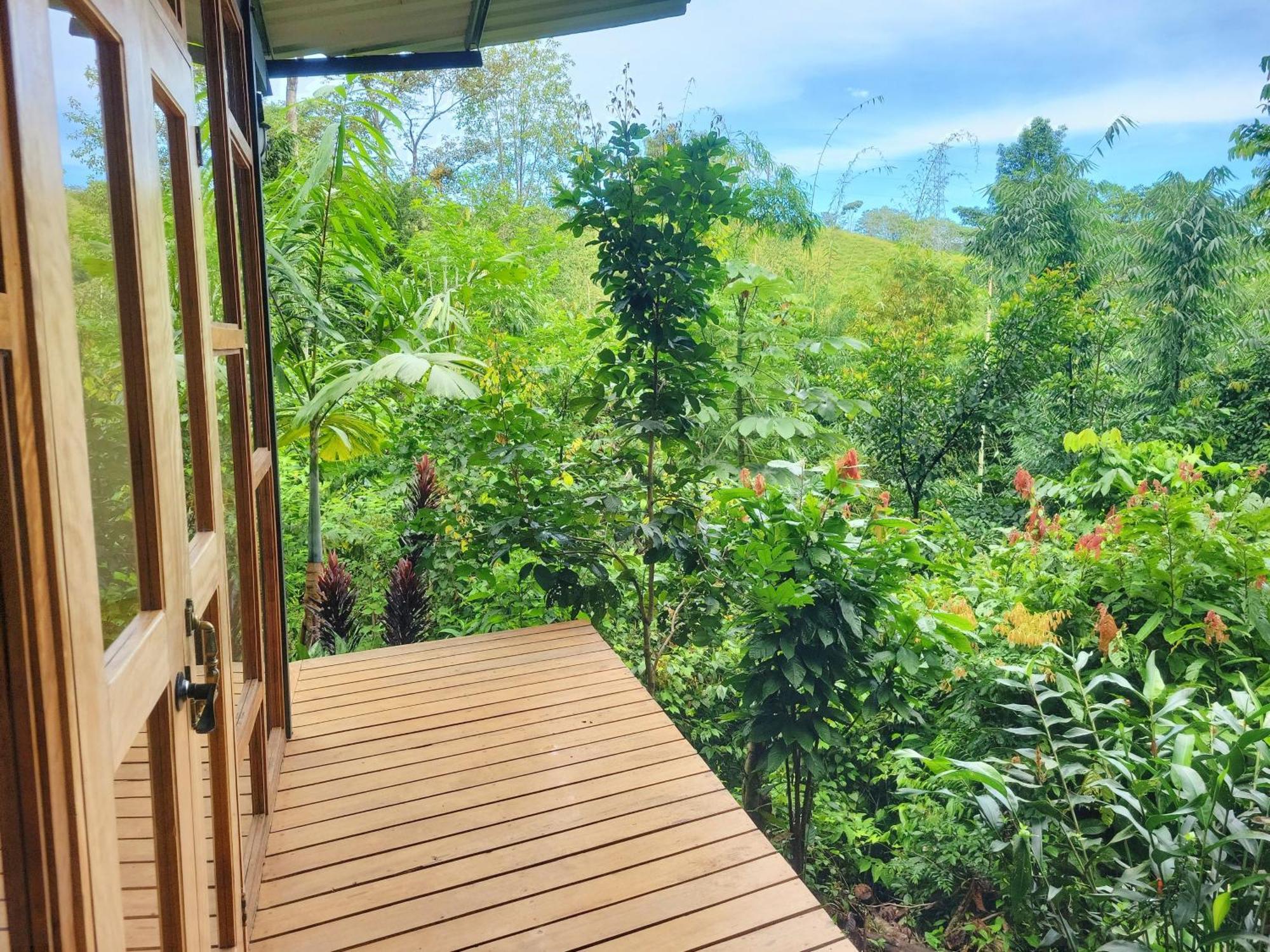 Cascada Elysiana Villa Platanillo Ruang foto