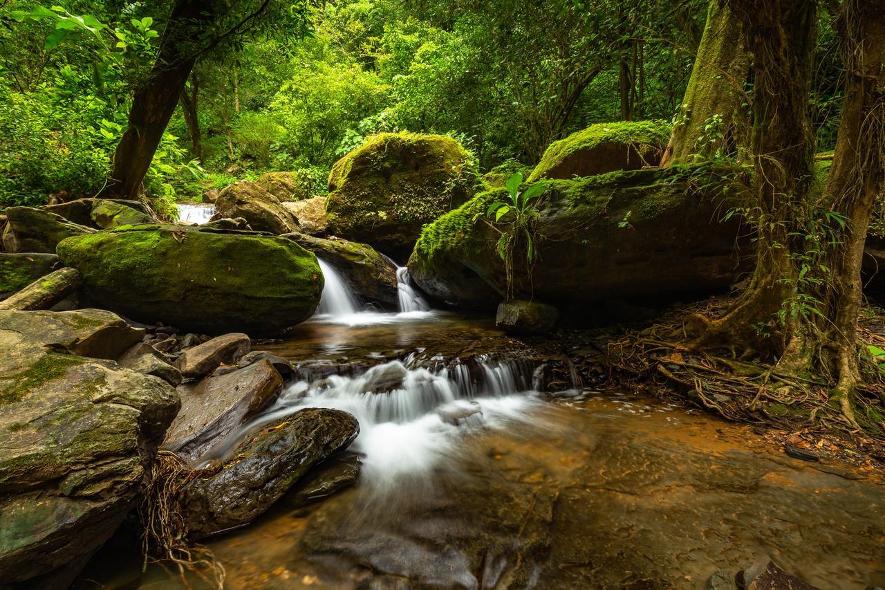 Cascada Elysiana Villa Platanillo Bagian luar foto