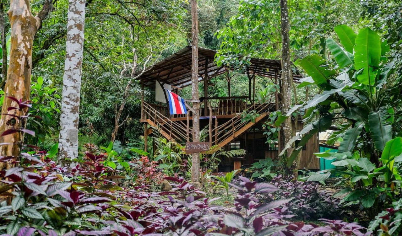 Cascada Elysiana Villa Platanillo Bagian luar foto